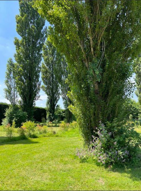 Domaine Des Epinettes Saint-Romain-de-Jalionas Exterior foto